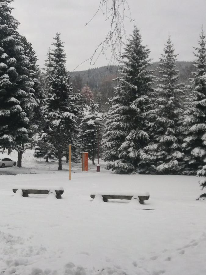 Hotel Ceska Farma Dolni Dvur Extérieur photo